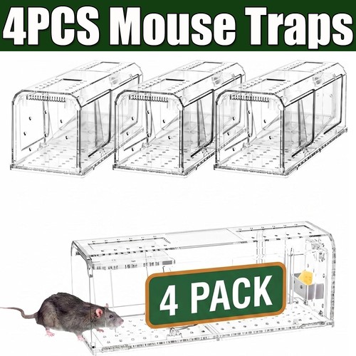 Rat catcher spring cage - x,