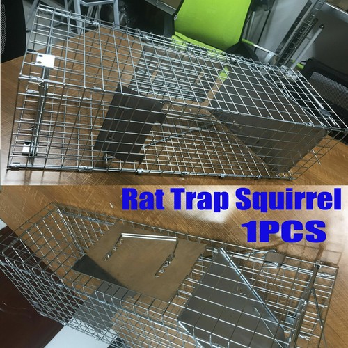 Squirrel trap heavy - trap, metal