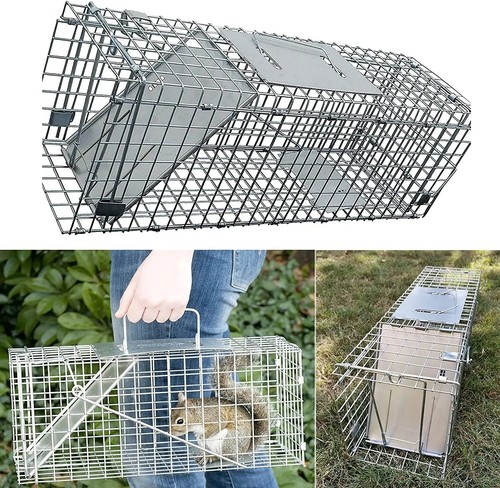 Squirrel trap humane - humane, no
