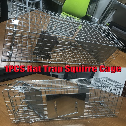Humane squirrel trap heavy - squirrel,