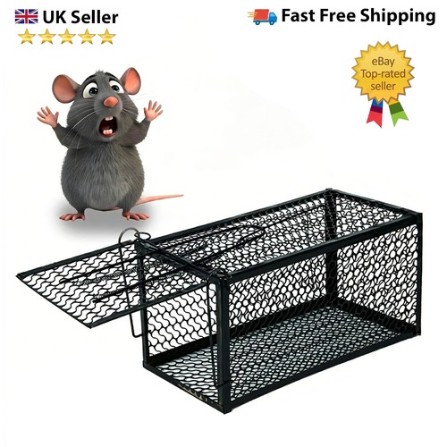 Pcs rat trap - pcs, mouse