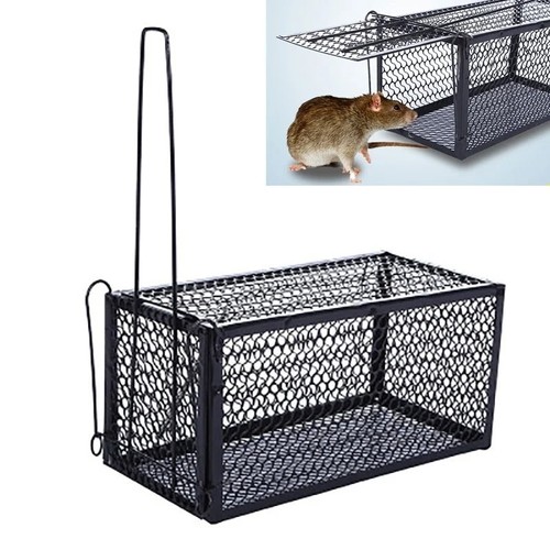Rat catcher spring cage trap - cage,