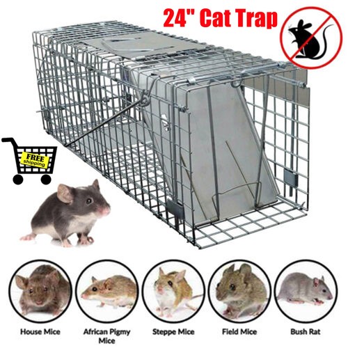 Cat trap for stray - trap,