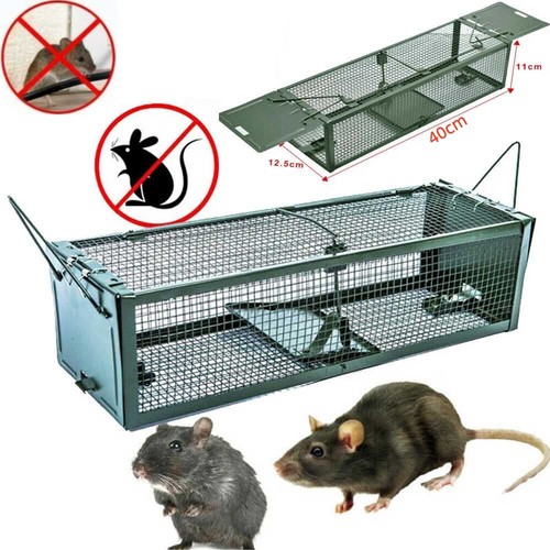 Rat cage trap door metal - cage, 2