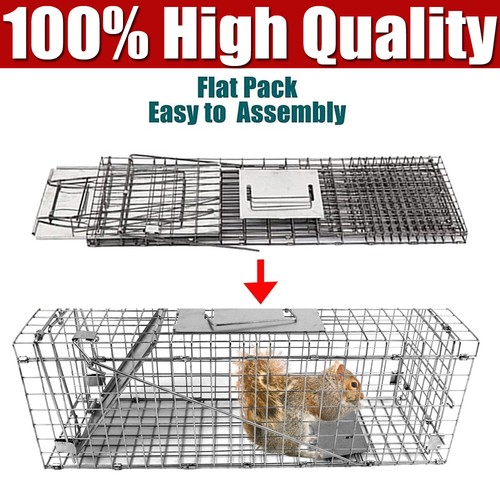 Animal traps cage - cage, squirrel