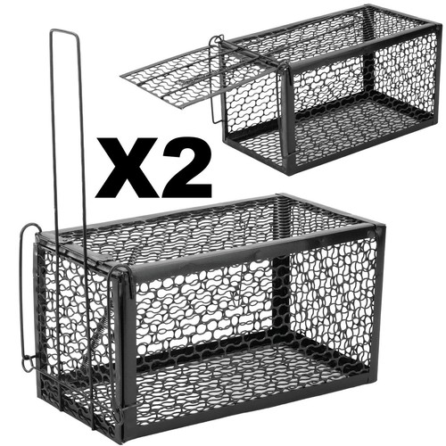 Rat trap mouse catcher - mouse,