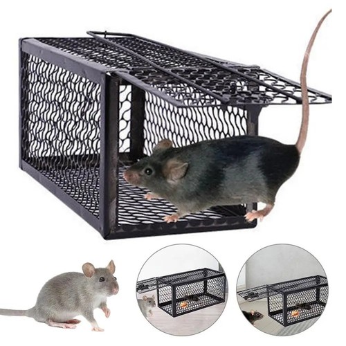 Rat trap mouse - mouse, humane