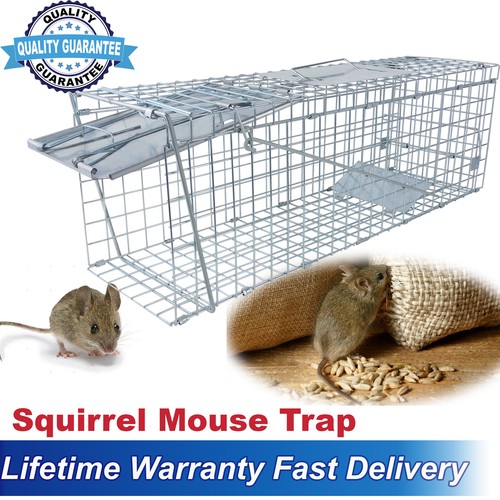 Garden animal cage trap - cage,