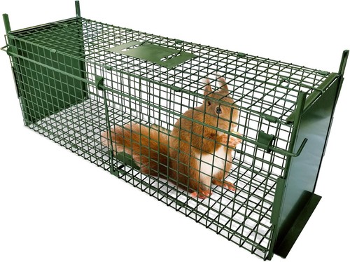 Humane animal trap cage 80cm - trap,