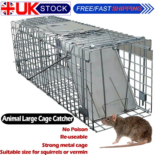 Cat trap for - for, stray