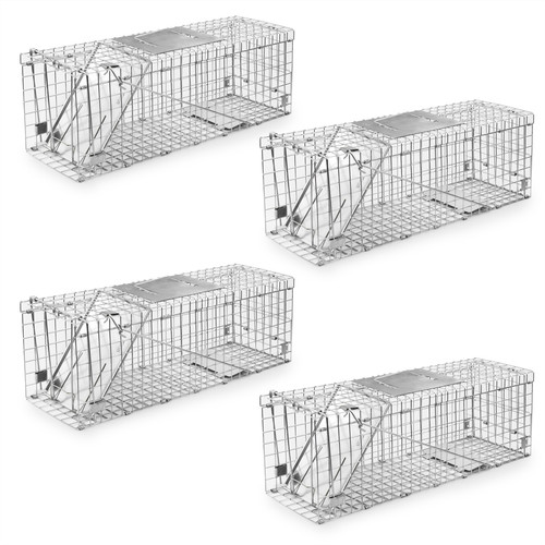 Squirrel trap pack - squirrel,