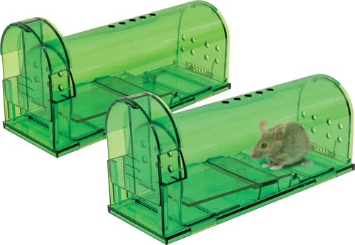 Rat mouse trap catcher humane - rat,