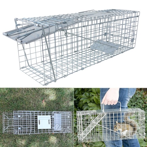 Live animal cage trap - live,