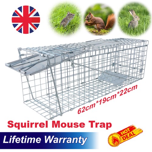 Animal live safe trap - animal,