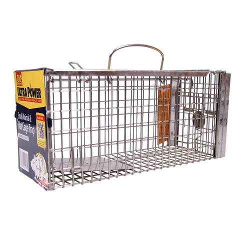 The big cheese rat small - the,