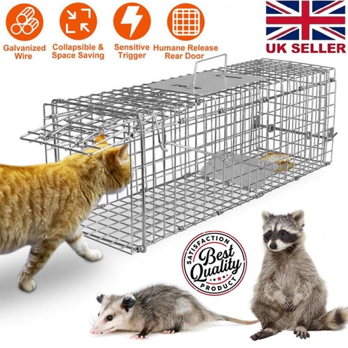 Heavy duty live animal cage - animal,