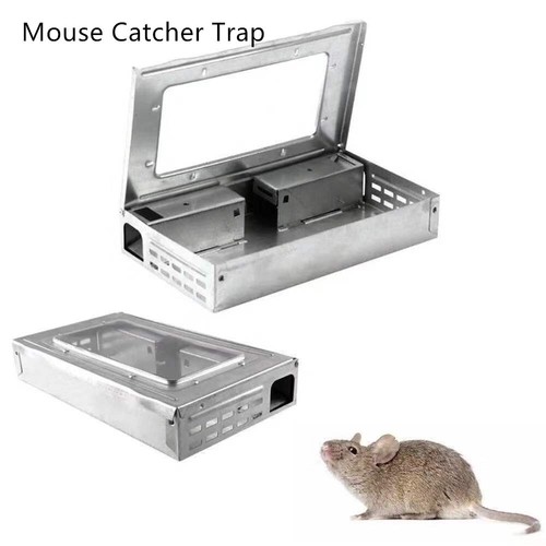 Rat mouse trap - 4x, live