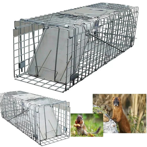Large humane live - humane, animal