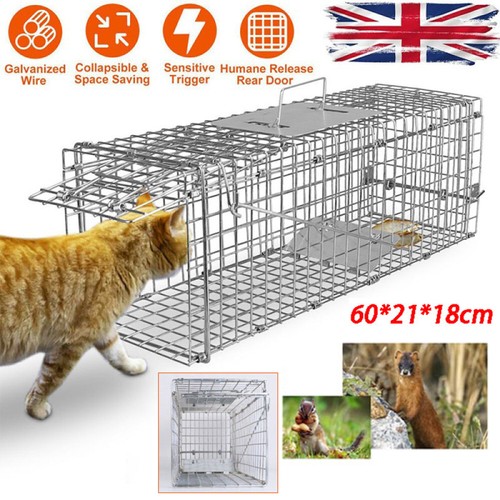 Animal trap cage indoor - animal, &