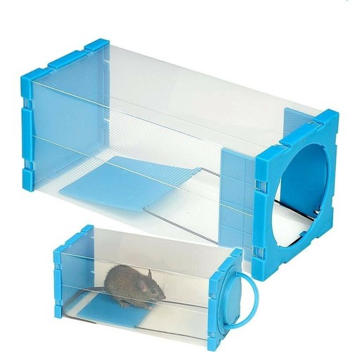 New rat catcher spring - rat,