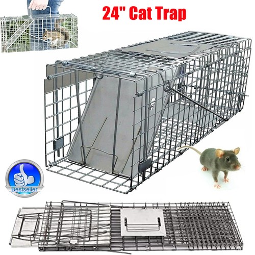 Cat trap large animal - cat,