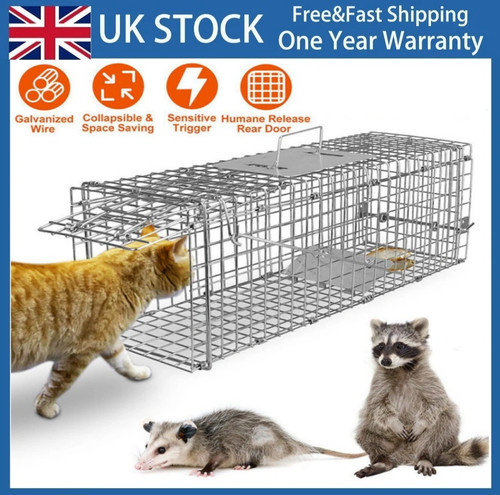 Squirrel trap heavy - duty, metal