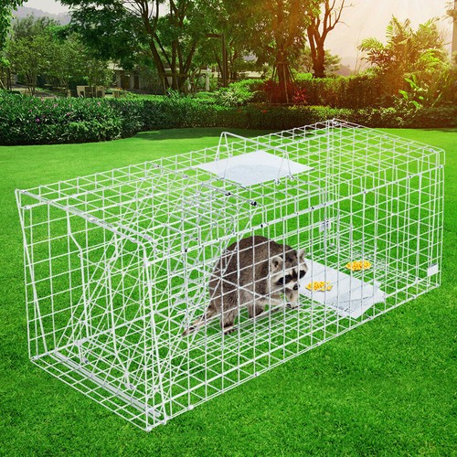 Animal traps cage - cage, for