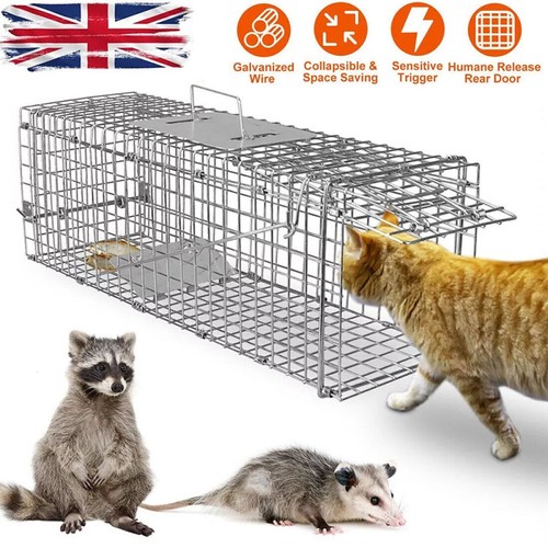 Live animal cage - live,
