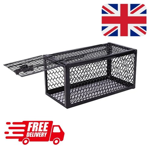 Mouse rat trap live - live, catch