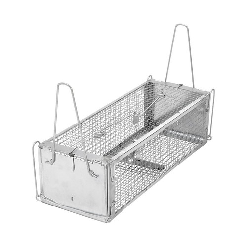 Squirrel trap humane no - trap,
