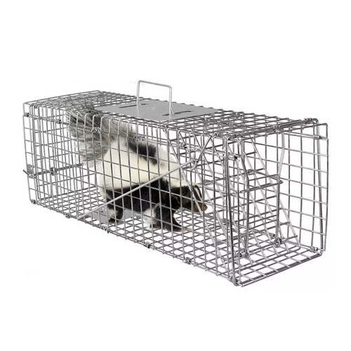 Squirrel trap humane - trap,
