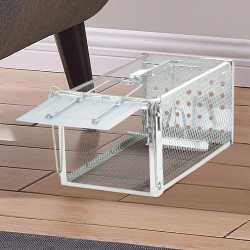 Rat trap mouse - rat,