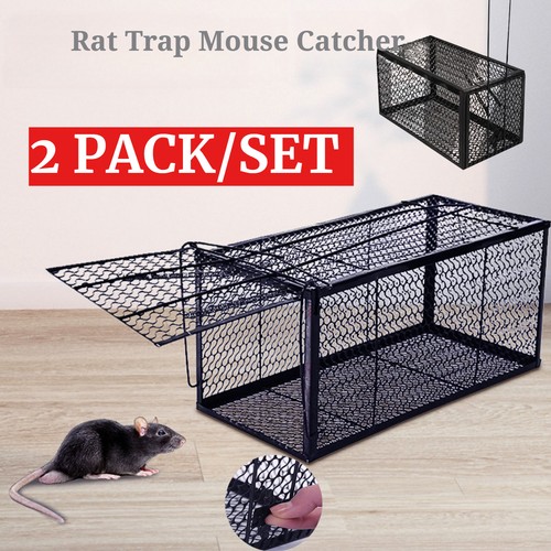 Rat trap mouse catcher - rat,