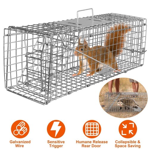 Squirrel trap heavy duty metal - squirrel,