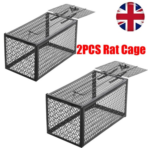 Rat catcher spring - 2,