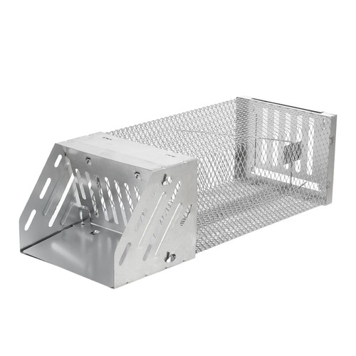 Squirrel trap humane - squirrel, no