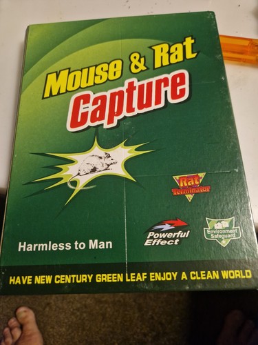 Humane rat mouse - trap, catcher