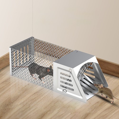 Rat squirrel cage humane - squirrel,