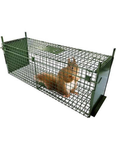Arifaro humane live - trap, 80