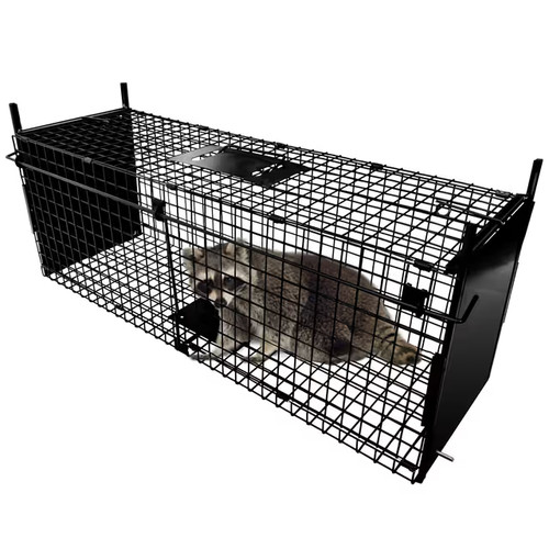 Thealyn animal cage trap - animal, 80