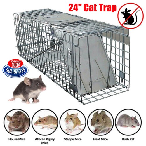 Animal traps cage for - traps,