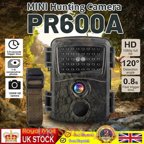 24mp hunting trail night - hunting,