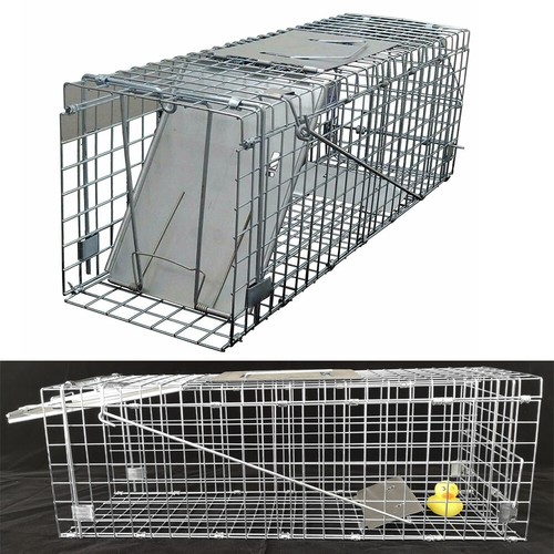 Animal traps cage for squirrel - cage,