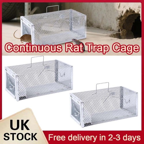 Squirrel trap humane no - humane,