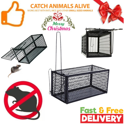 Rat catcher spring cage - 2,