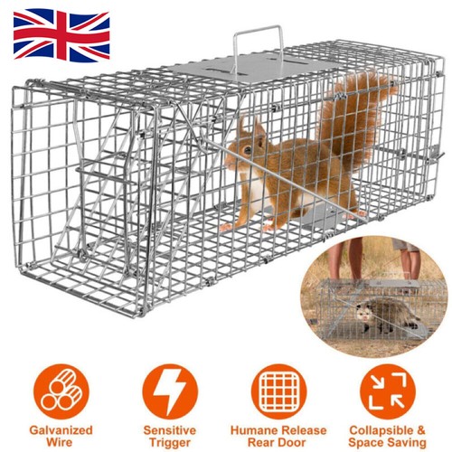 Squirrel rat cage large trap - rat,