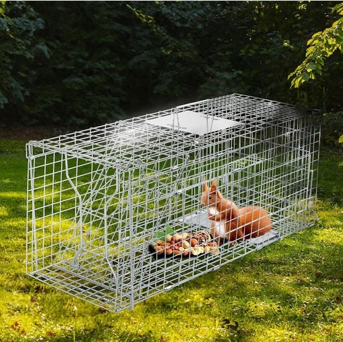Live animal cage - live,