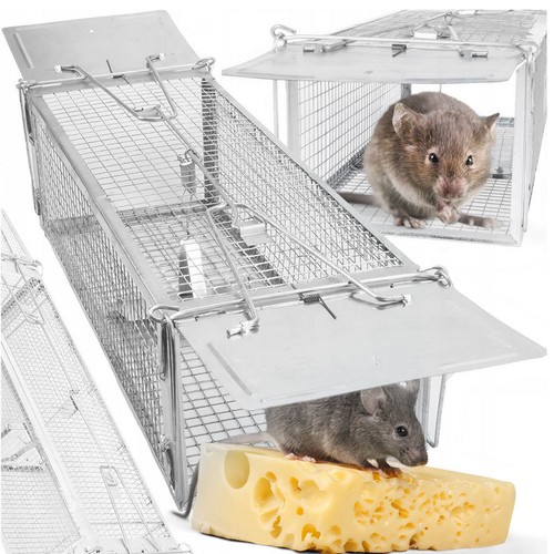 Squirrel trap humane - no, kill