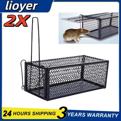 Rat trap mouse - trap, catcher