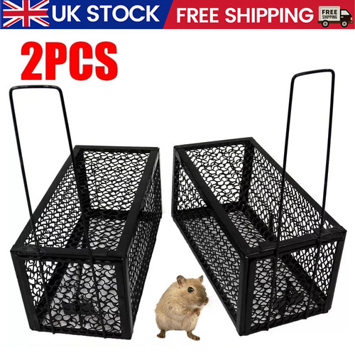 Rat trap mouse catcher - x2,